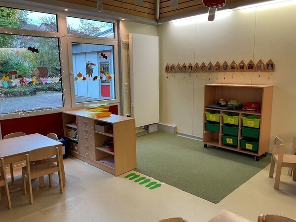 Bild vergrößern: Froschgruppe 1